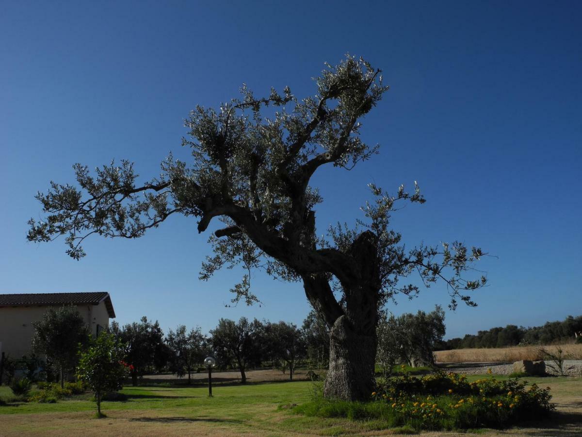 Agriturismo Is Solinas Masainas Buitenkant foto